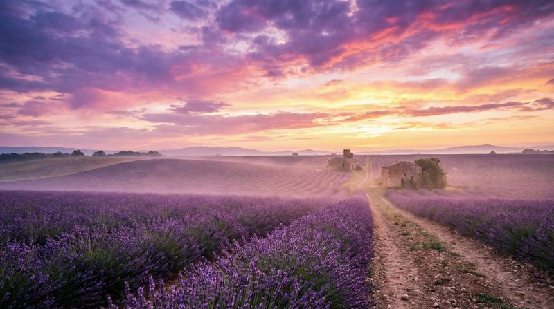 高清无码传媒风景拍摄